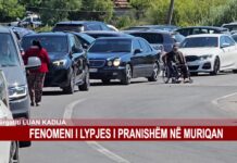 FENOMENI I LYPJES I PRANISHËM NË MURIQAN