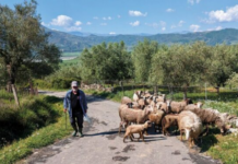BLEGTORËT I DREJTOHEN QEVERISË ME 7 KËRKESA: PARALAJMËROJNË RIKTHIMIN E PROTESTAVE
