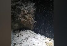 BJESHKËT E MIRDITËS ZBARDHEN NGA DËBORA