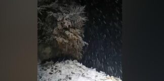 BJESHKËT E MIRDITËS ZBARDHEN NGA DËBORA