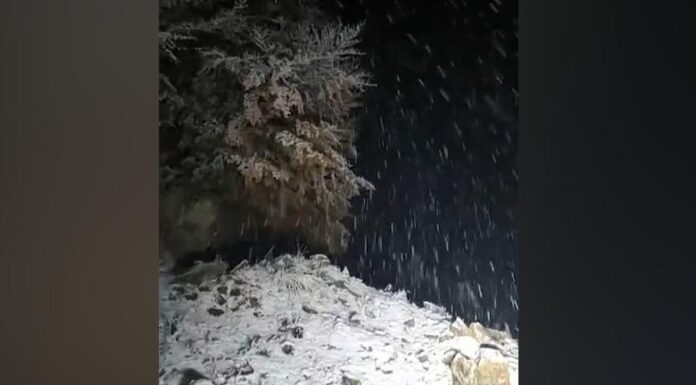 BJESHKËT E MIRDITËS ZBARDHEN NGA DËBORA