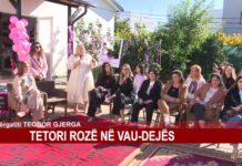 TETORI ROZË NË VAU-DEJËS
